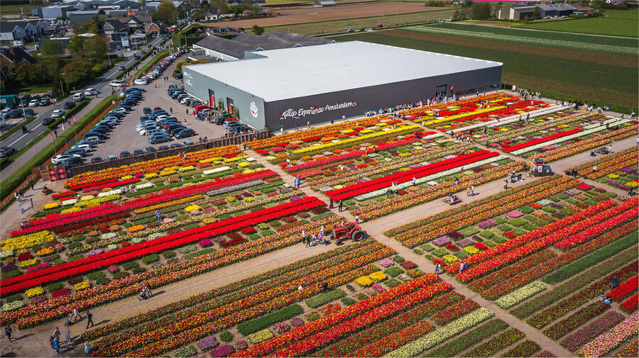From Amsterdam: Keukenhof Gardens & Tulip Experience Tour - What You Pay for at $94: Value Breakdown That Makes Sense