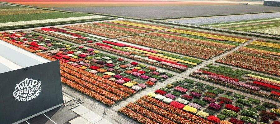From Amsterdam: Keukenhof Gardens & Tulip Experience Tour - Practical Stuff That Keeps the Day Smooth
