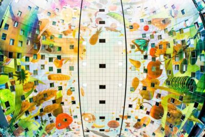 Rotterdam, Delft & The Hague Guided Day Tour