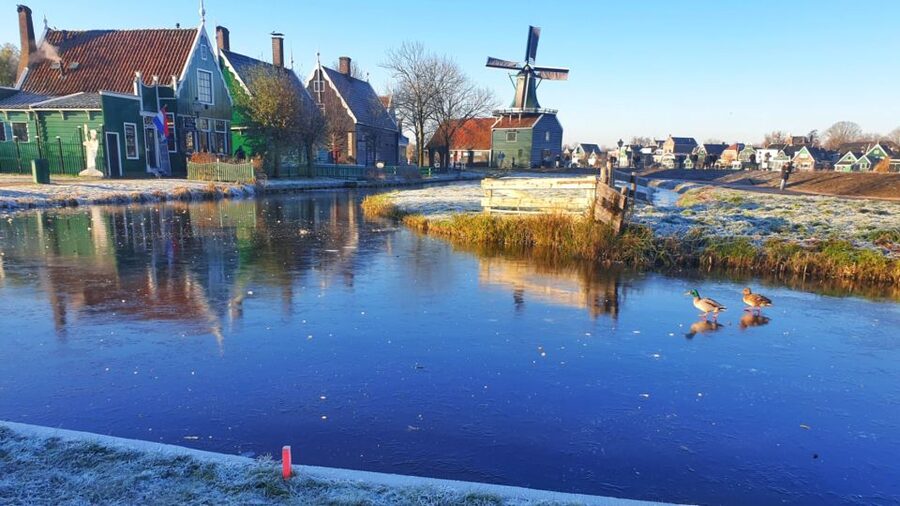 From Amsterdam: Small Group Zaanse Schans and Volendam Tour - Should you book this Zaanse Schans and Volendam small-group tour?
