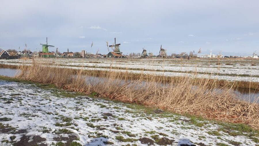 From Amsterdam: Small Group Zaanse Schans and Volendam Tour - Zaanse Schans and Volendam in 5 hours: the best kind of Dutch “greatest hits”
