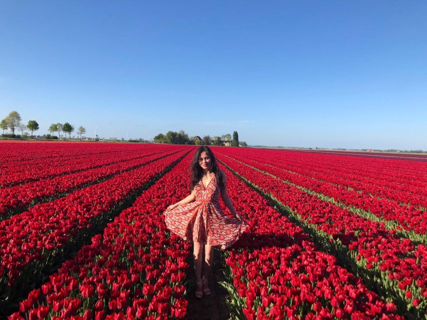 From Amsterdam: Tulip Tour Keukenhof & City Tour Delft - What to Bring, What to Skip, How to Stay Comfortable
