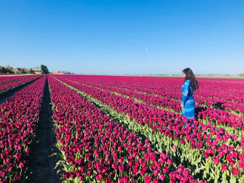 From Amsterdam: Tulip Tour Keukenhof & City Tour Delft - From Amsterdam to Keukenhof, This Is a Real Day Trip
