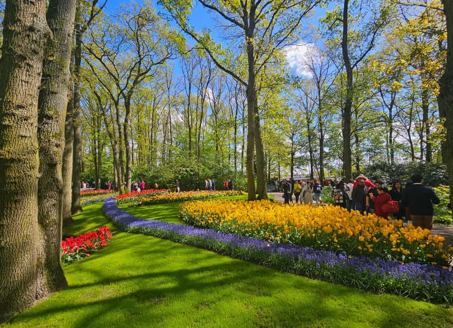 From Amsterdam: Tulip Tour Keukenhof & City Tour Delft - Delft on Foot: Market Square, Churches, and Canal Views
