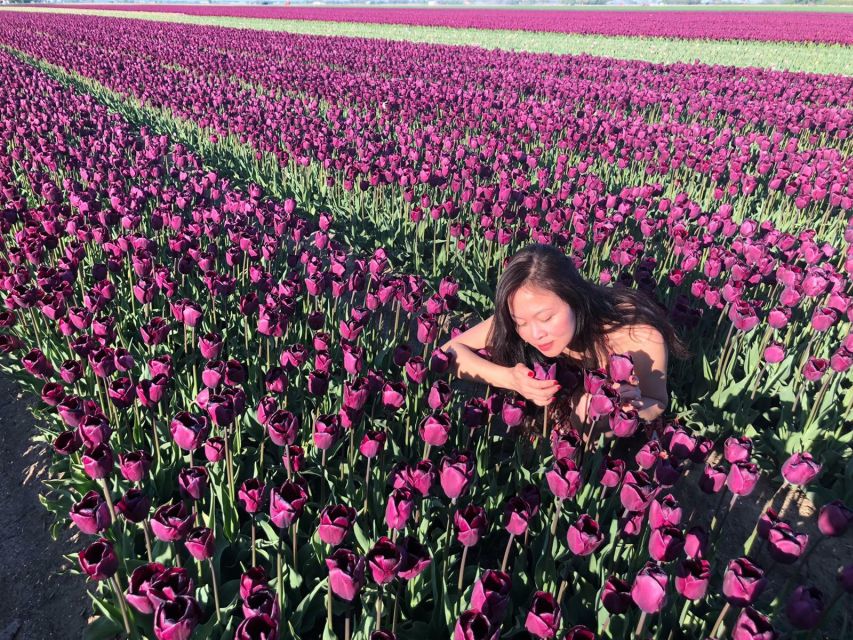 From Amsterdam: Tulip Tour Keukenhof & City Tour Delft - Price and Value: Is $169 a Good Deal?