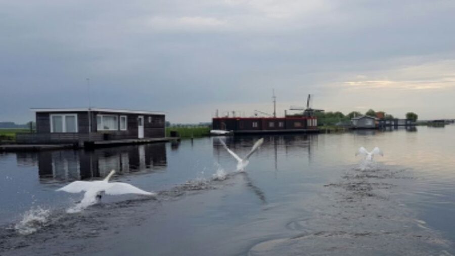 From Katwijk: Kaag Lakes Cruise - Groene Hart countryside from the water: polders, pasture land, and boating life