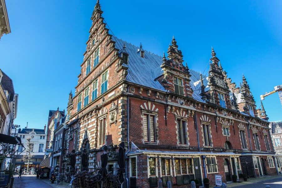 Haarlem: City Highlights Walking Tour - Key things you’ll notice on this Haarlem walk