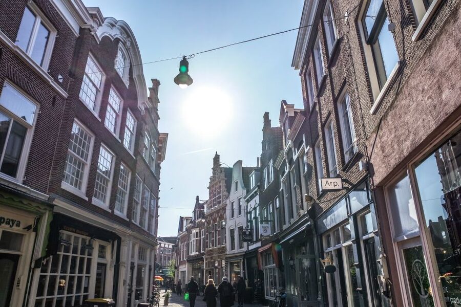 Haarlem: City Highlights Walking Tour - Grote Markt: Getting Oriented Before You March Toward the Spaarne