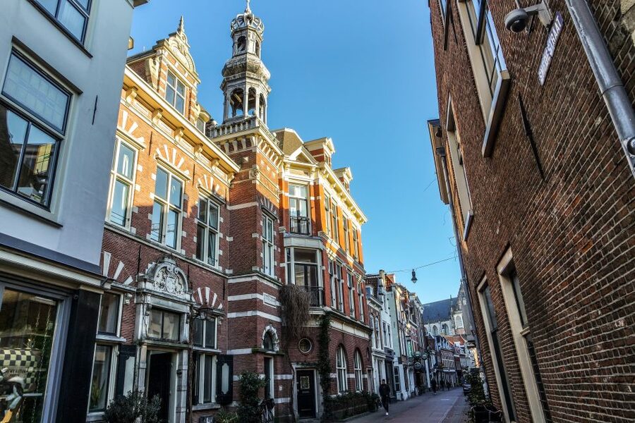 Haarlem: City Highlights Walking Tour - Teylers Hofje, Hofje van Bakenes, and the Secret Stop: Haarlem’s Quiet Corners