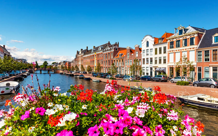 Haarlem Highlights Bike Tour - Hidden streets, insider tips, and what to do next