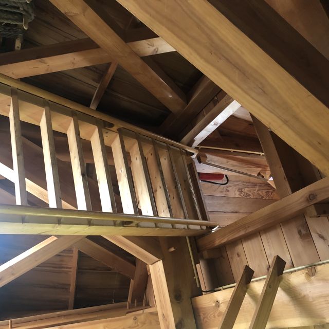 Haarlem: Windmill 'De Adriaan' Guided Tour - Key things to know before you go