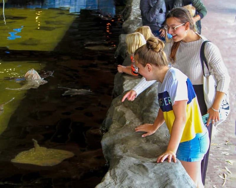 Harderwijk: Dolfinarium Entry Ticket - Where the day goes: a simple pacing plan for a one-day visit