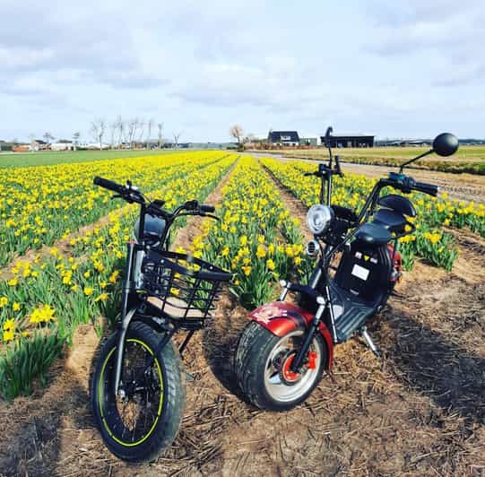 Hillegom: E-Scooter or E-Bike Rental in the Bulb Region - Entering the Bulb Region on an E-Scooter or E-Bike