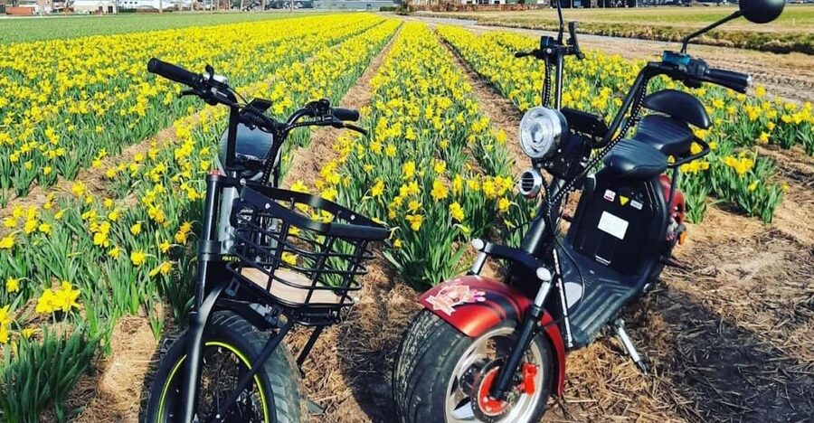 Hillegom: E-Scooter or E-Bike Rental in the Bulb Region - Check-in at E-scooterverhuurbollenstreek, Close to Hillegom Station