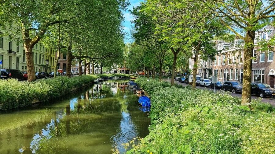 Historical Utrecht: Private Walking Tour with a Local Guide - Canal-side Utrecht and the wharf cellars at water level