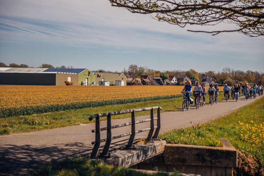 Keukenhof: Flower Fields Small-Group Cultural Bike Tour - The 3-hour route: photo stops that actually make sense