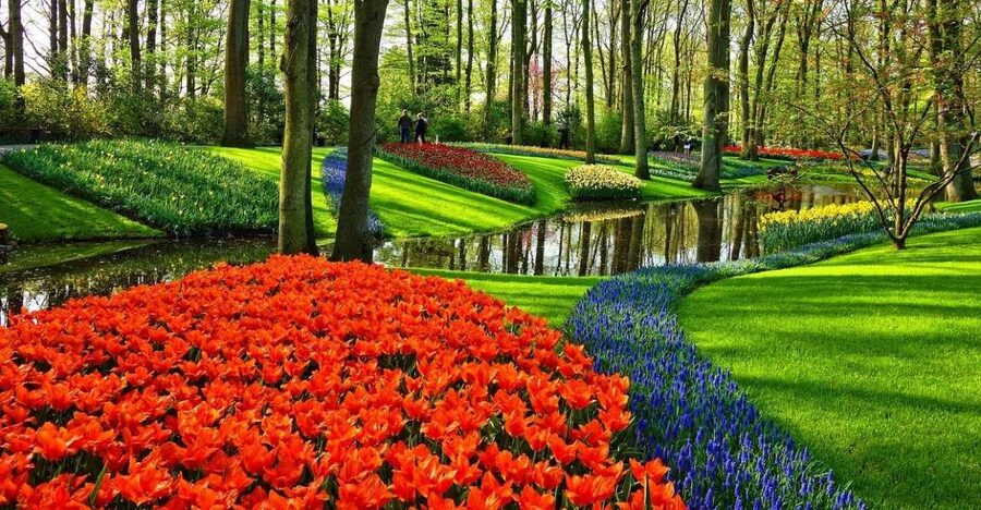 Keukenhof Gardens and Tulip Experience Tour from Amsterdam - Key Highlights at a Glance