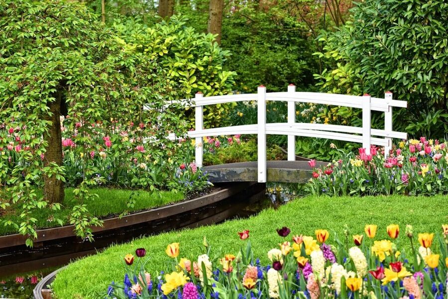 Keukenhof Gardens and Tulip Experience Tour from Amsterdam - A Half-Day Tulip Mission From Amsterdam