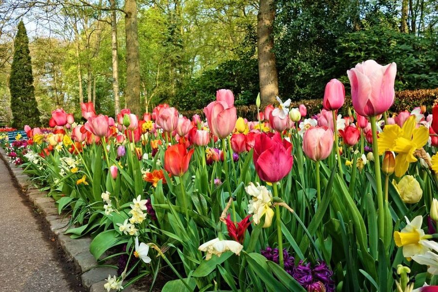 Keukenhof Gardens and Tulip Experience Tour from Amsterdam - Juliana Pavilion and the Tulip Mania Exhibit
