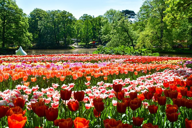Keukenhof Gardens & Tulip Experience Tour from Amsterdam - Keukenhof Gardens: Where the Crowds Are Worth It