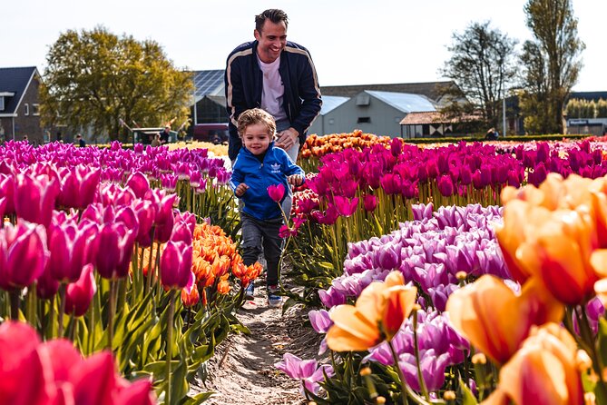Keukenhof Gardens & Tulip Experience Tour from Amsterdam - Morning Pickup, Coach Ride, and the Rhythm of the Day