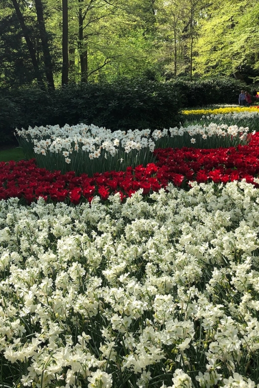 Keukenhof, Tulip Farm, Flower Fields & Windmills - Key points worth your attention