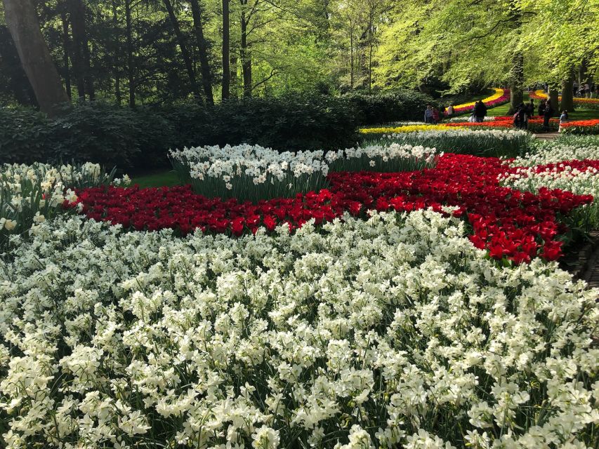 Keukenhof, Tulip Farm, Flower Fields & Windmills - The idea: tulips plus windmills plus two old fishing villages