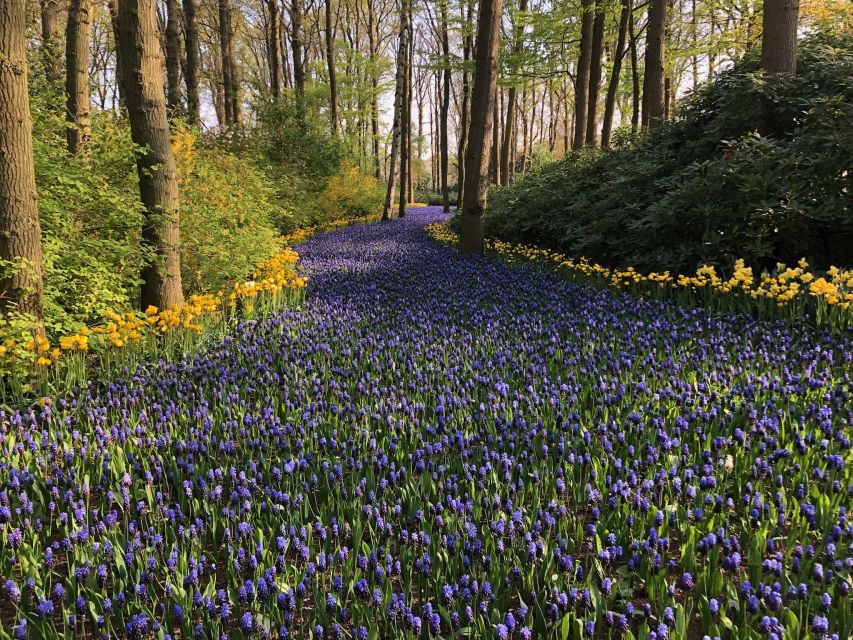 Keukenhof, Tulip Farm, Flower Fields & Windmills - Beemster UNESCO drive and an authentic working windmill visit