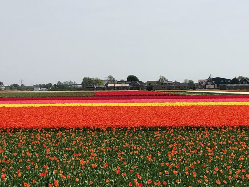 Keukenhof, Tulip Farm, Flower Fields & Windmills - Volendam and Marken on foot: colorful houses, sea-town stories, and easy wandering