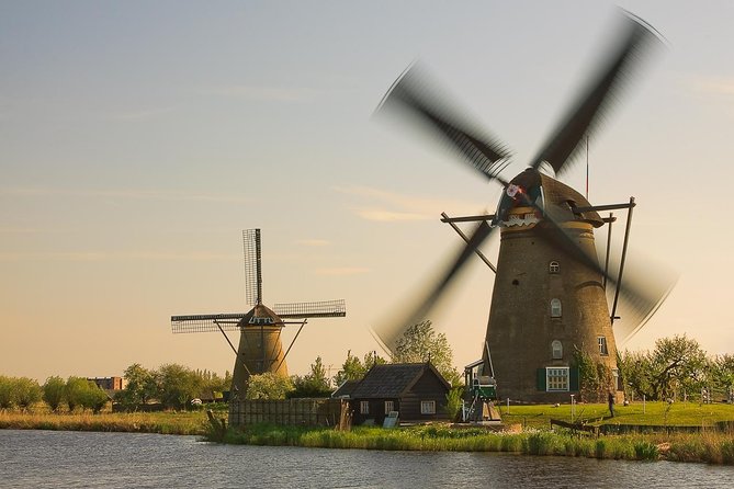 Kinderdijk, The Hague, Mauritshuis Private Tour from Amsterdam - The minivan tour through The Hague highlights