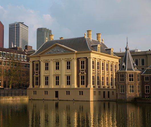 Kinderdijk, The Hague, Mauritshuis Private Tour from Amsterdam - Real-world tips: make sure the day feels like a tour, not a taxi day