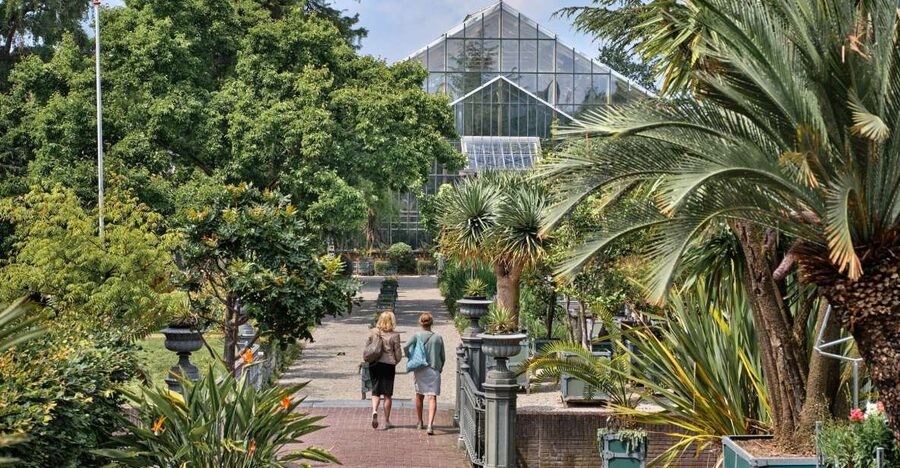 Leiden: Hortus Botanicus Entry Ticket - First stop: exchanging your ticket and getting oriented at the front gate