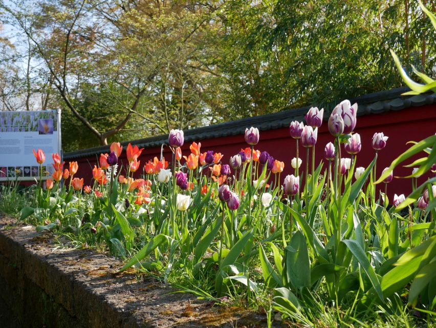 Leiden: Hortus Botanicus Entry Ticket - Carnivorous plants: the section that turns curiosity into attention
