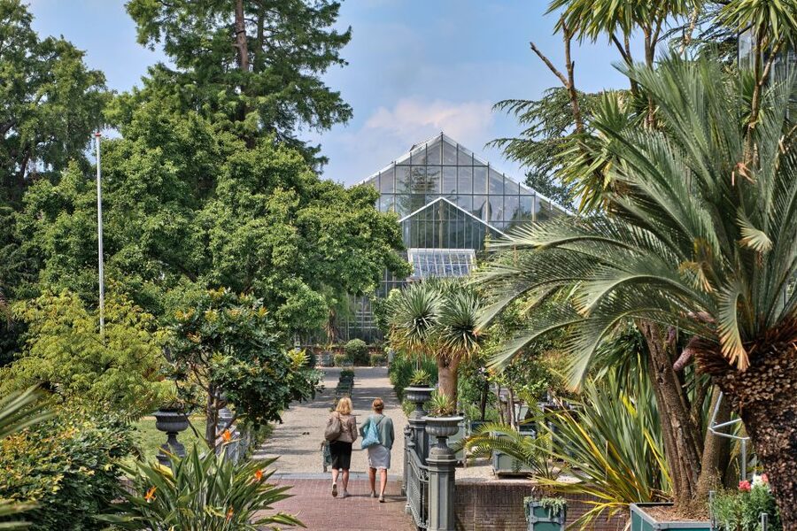 Leiden: Hortus Botanicus Entry Ticket - Seasonal blooms you can plan around: jadevine, Victoria amazonica, Chinese lotus