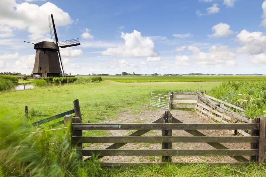 Lisse: Drive-it-Yourself Dutch Countryside GPS Audio Tour - Who should book this Twizy drive, and who should skip it