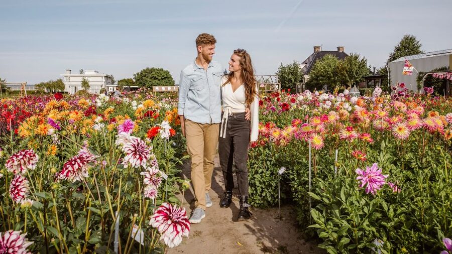 Lisse: Drive-it-Yourself Summer Flower GPS Audio Tour - Where you start: Meer en Duin, Renzy sign, and what to bring