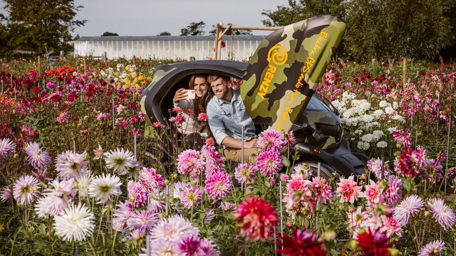 Lisse: Drive-it-Yourself Summer Flower GPS Audio Tour - Price and what you get for about $52 per person