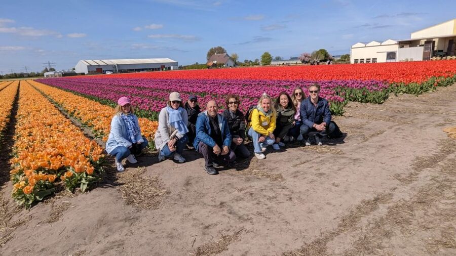 Lisse: Enjoy the Tulip Fields by Bike with a Local Guide! - Key Highlights You Will Actually Feel
