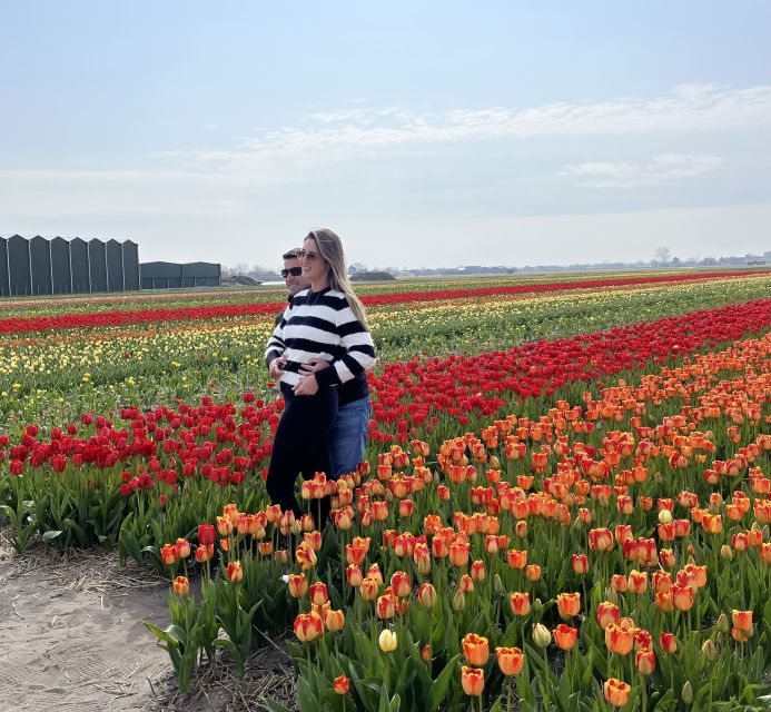 Lisse: Enjoy the Tulip Fields by Bike with a Local Guide! - Who This Tour Fits Best (and Who Should Skip It)