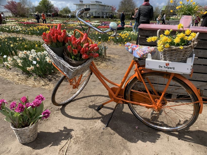 Lisse: Enjoy the Tulip Fields by Bike with a Local Guide! - The Village Café Break, Where You Can Reset for the Fields