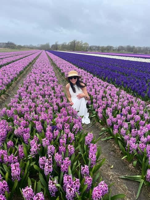 Lisse: Private Tulip Fields Tour with a Local Guide 1h Tour - Why Lisse Tulip Fields Feel Easier With a Local Guide