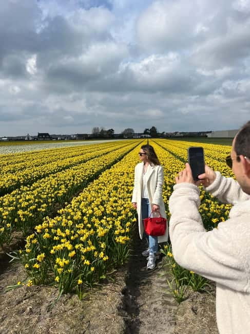 Lisse: Private Tulip Fields Tour with a Local Guide 1h Tour - Tickets, WiFi, and Tickets Again: What’s Actually Included