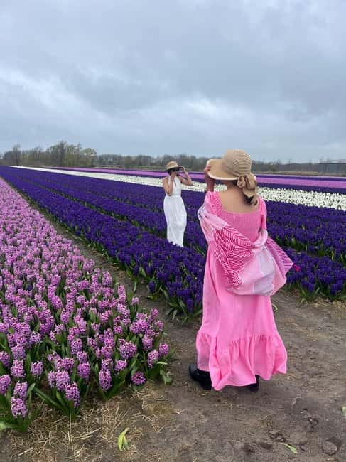 Lisse: Private Tulip Fields Tour with a Local Guide 1h Tour - Extending With Dutch Lunch: When It Helps