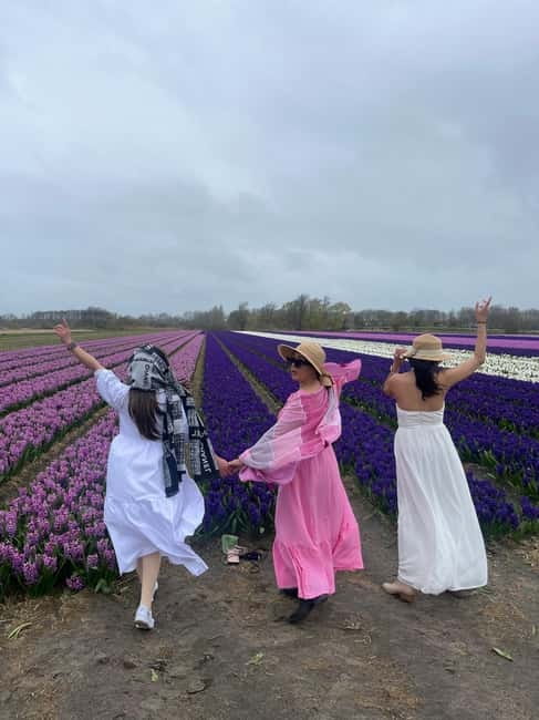 Lisse: Private Tulip Fields Tour with a Local Guide 1h Tour - Pickup in South Holland, Then You’re Off in a Luxury Car