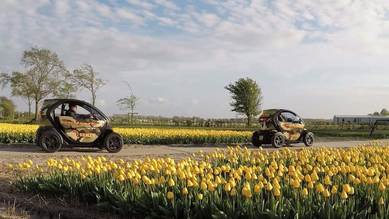 Lisse: Self-Guided Tulip Fields GPS Audio Tour - Price and time: what $79 per person really buys