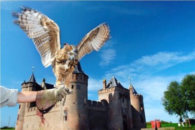 Entry Ticket to Muiderslot Castle