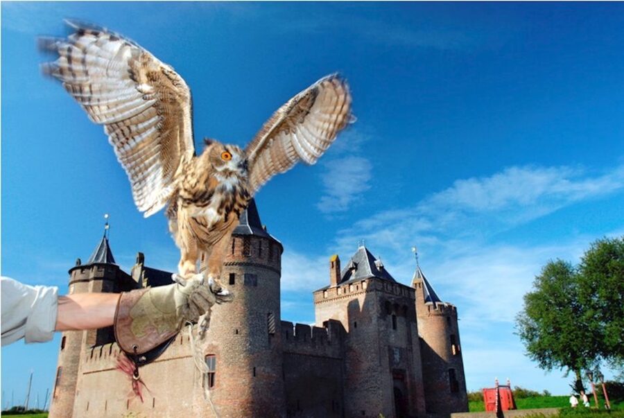Muiden: Entry Ticket to Muiderslot Castle - Your 2-Hour Game Plan From Herengracht 1, Muiden
