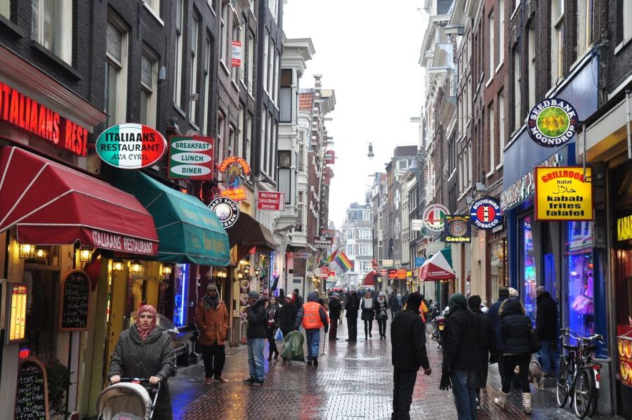 Private Amsterdam Walking Tour - Key highlights you’ll actually remember