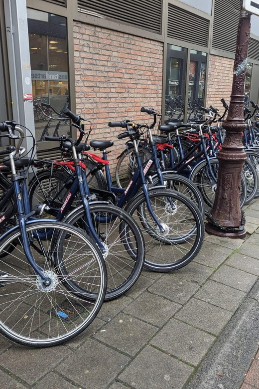 Rent a bike in Amsterdam | 1, 2, 3+ hours - Common Comfort Issues to Watch Before You Commit
