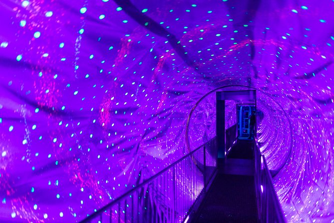 Ripley's Believe It or Not! Amsterdam Admission Ticket - Crowds, pacing, and what can make the visit feel short or great